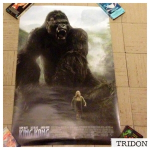 King Kong (2005) poster. I love this image; it's iconic!