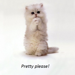 Pretty please