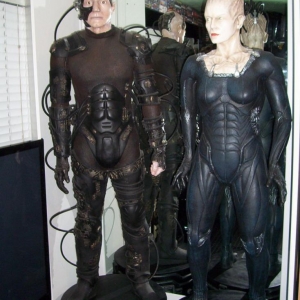 borgfin 001