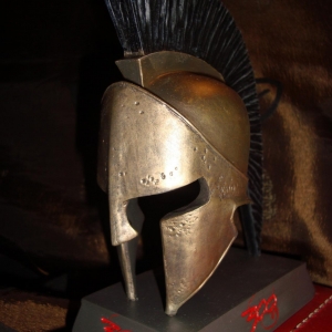 29. Helmet