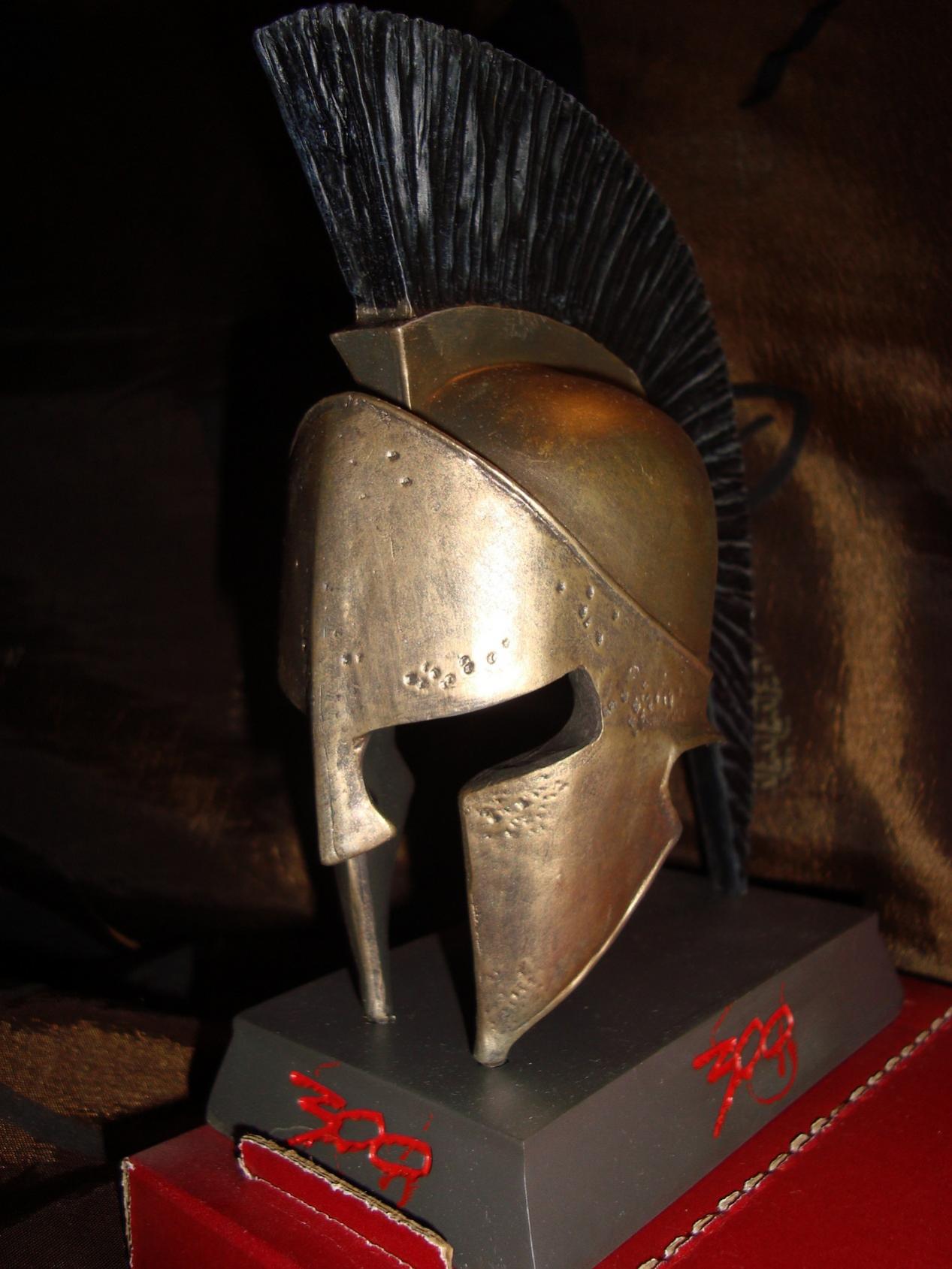 29. Helmet