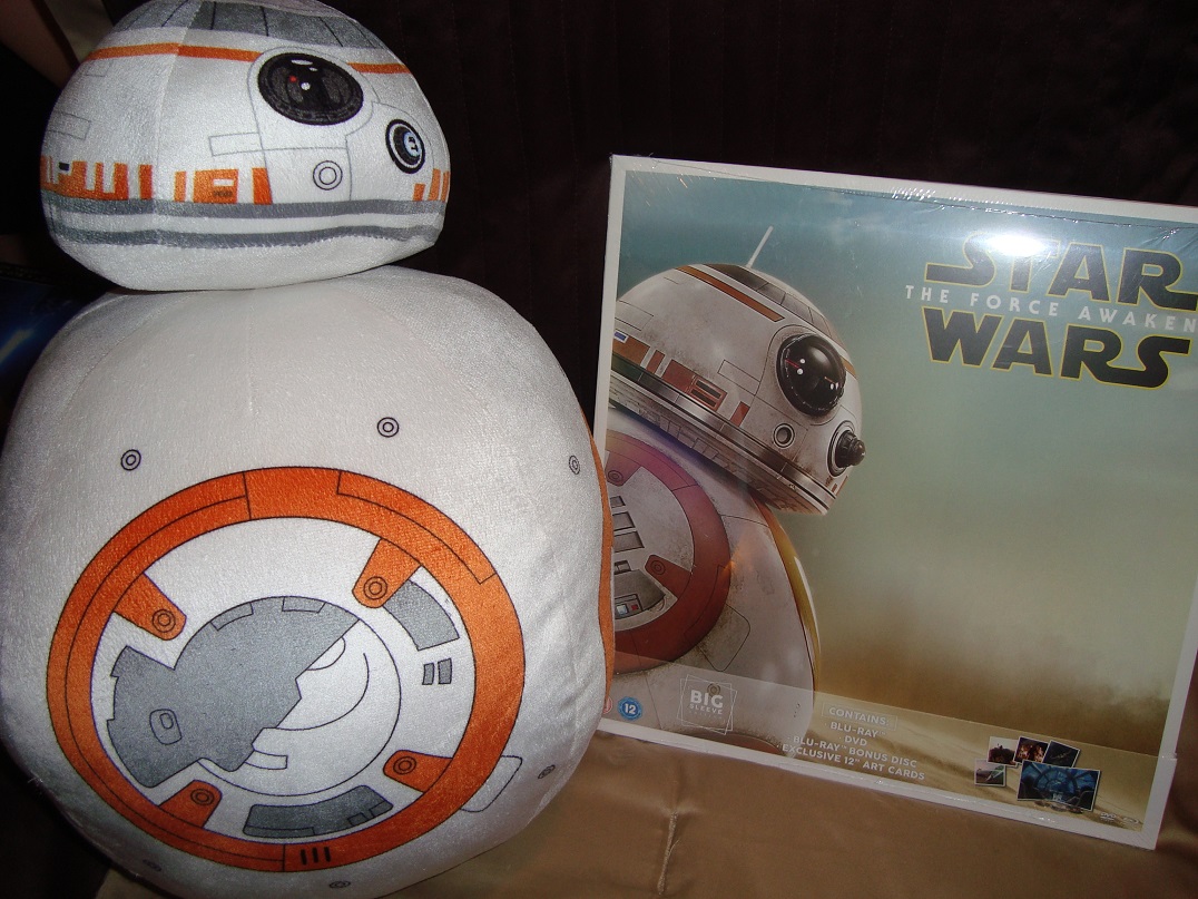 BB8 Big Sleeve Edition and Pillow
