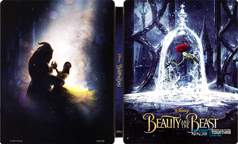 Beauty and the Beast (Best Buy).png