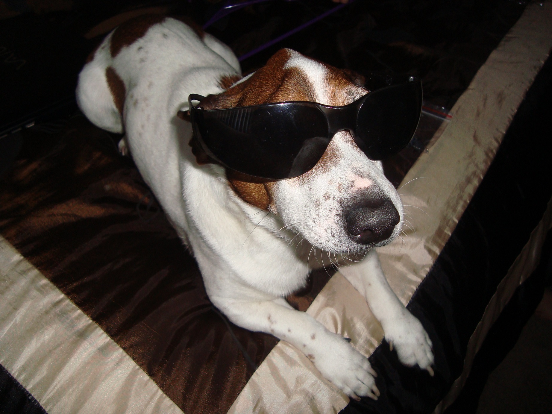 Cool Cowboy!