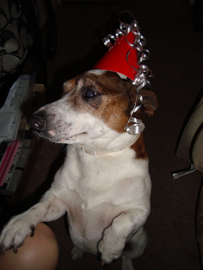 Cowboys Birthday_1.jpg