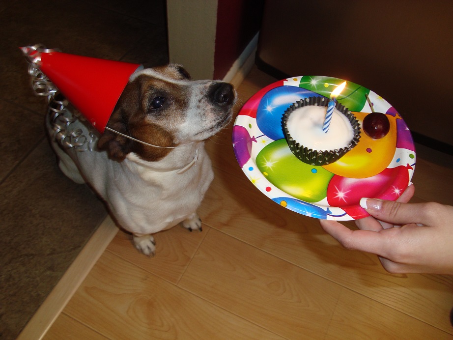 Cowboys Birthday_15.jpg