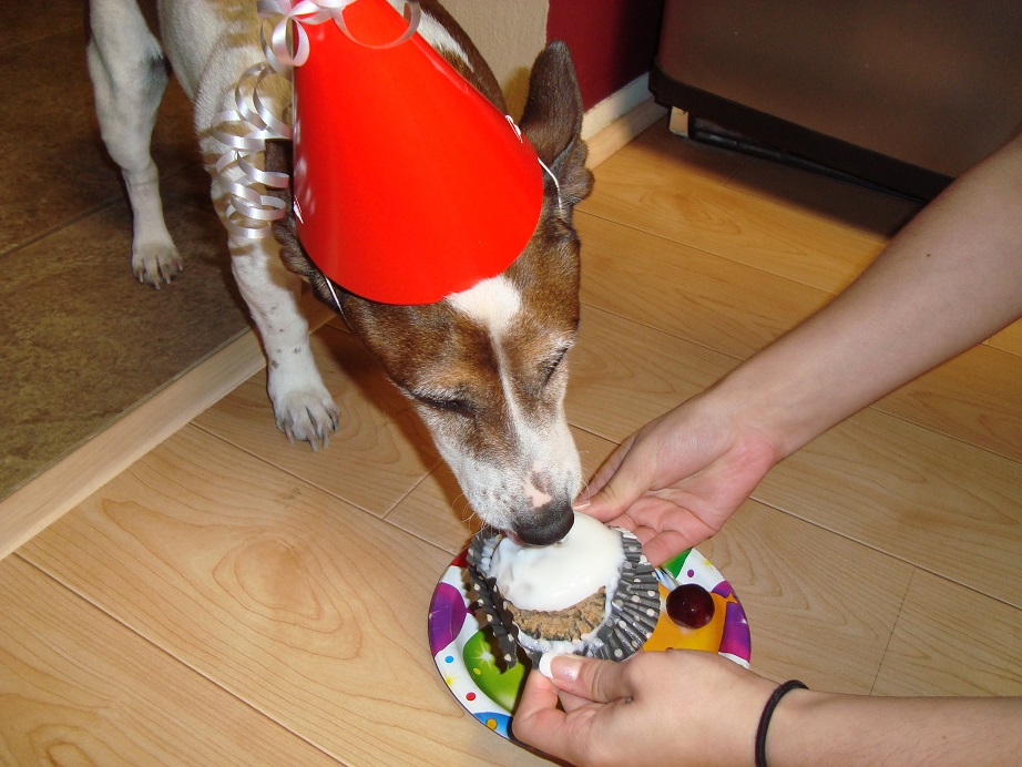 Cowboys Birthday_16.jpg