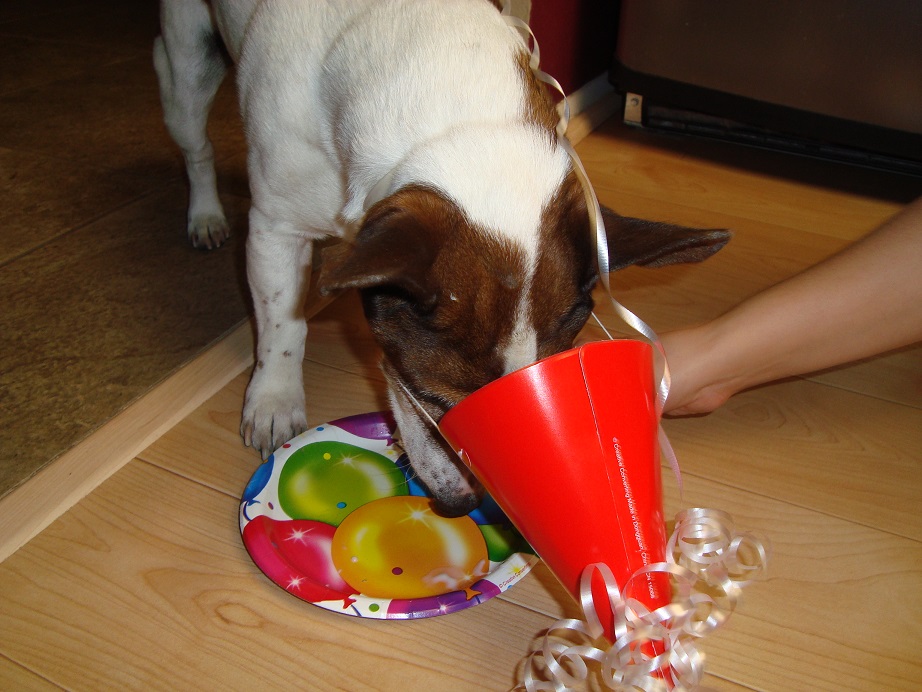 Cowboys Birthday_17.jpg