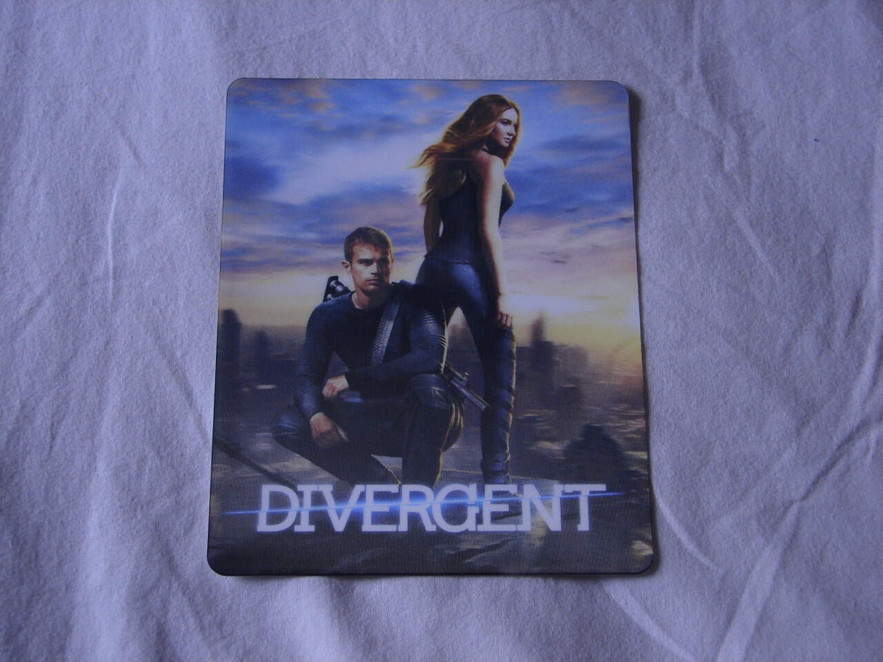 Divergent (3D - Custom Printed)
