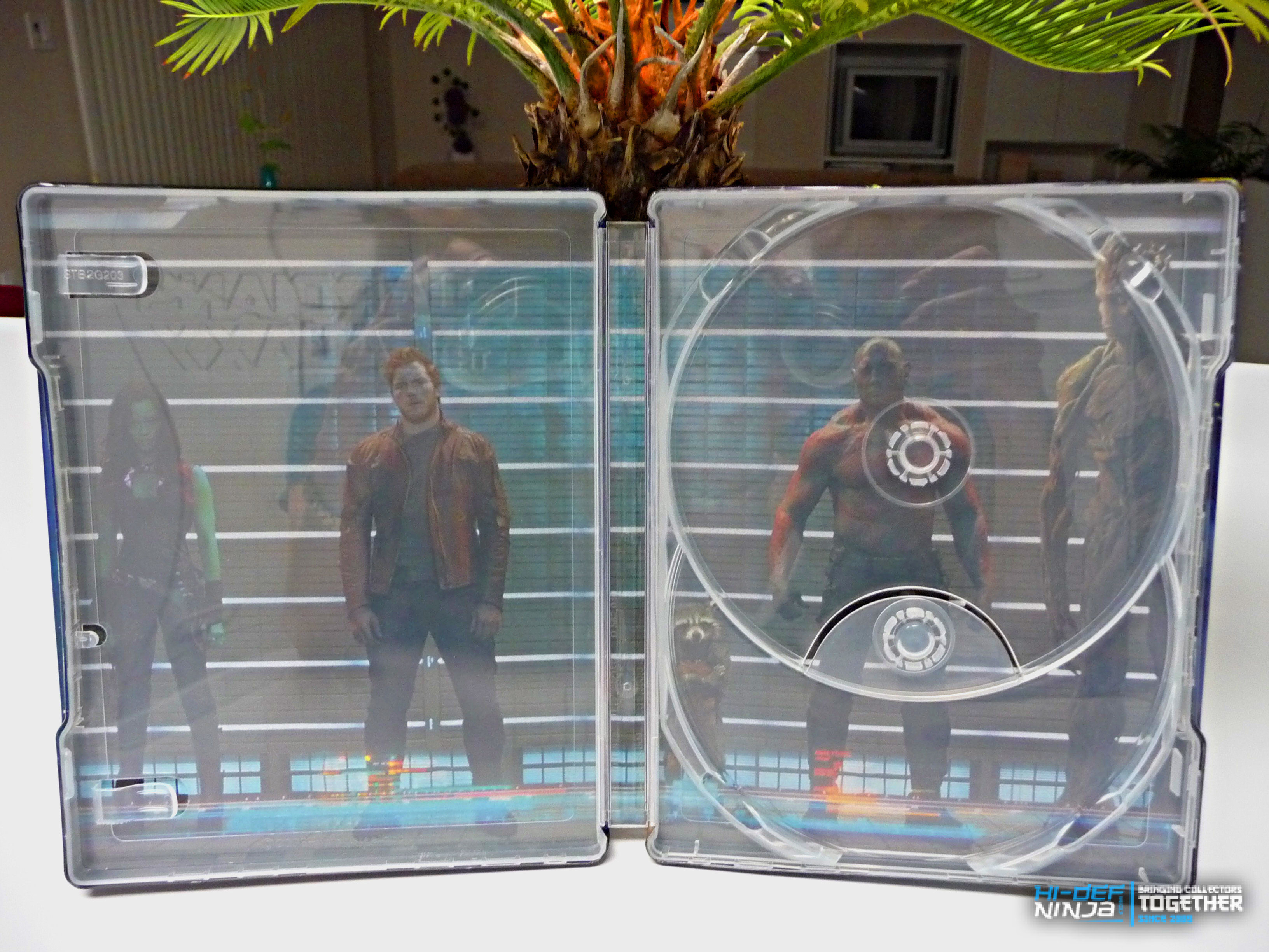 Full Inside Of GOTG Steel
