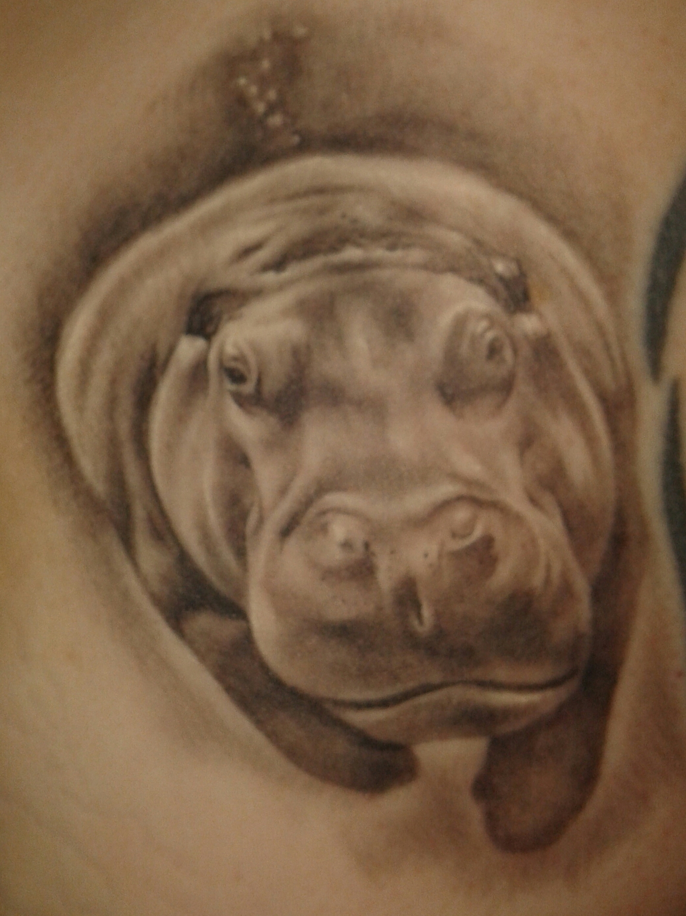 Fully Healed