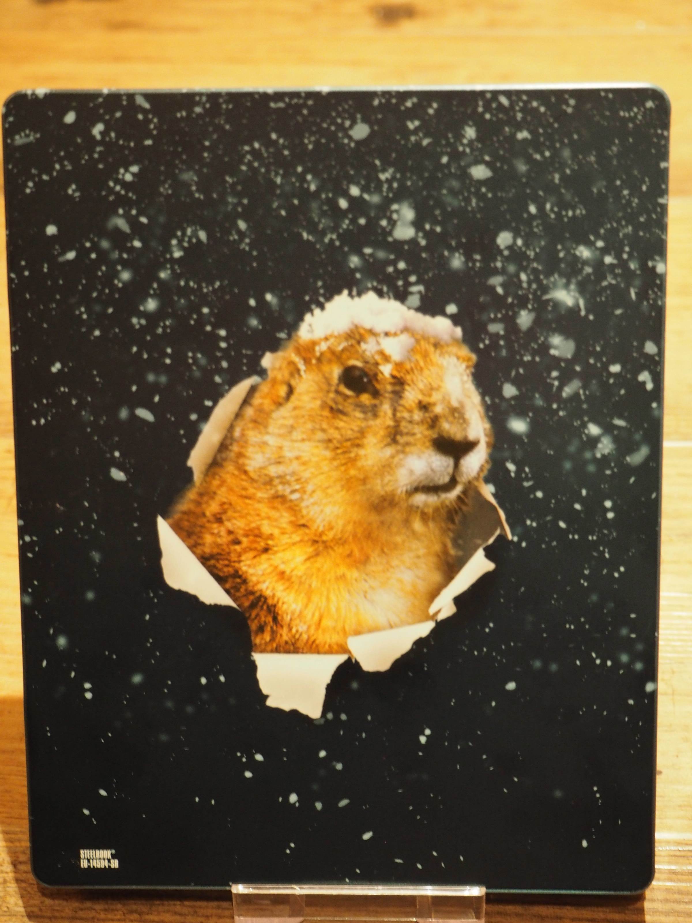 GroundhogDay_back1