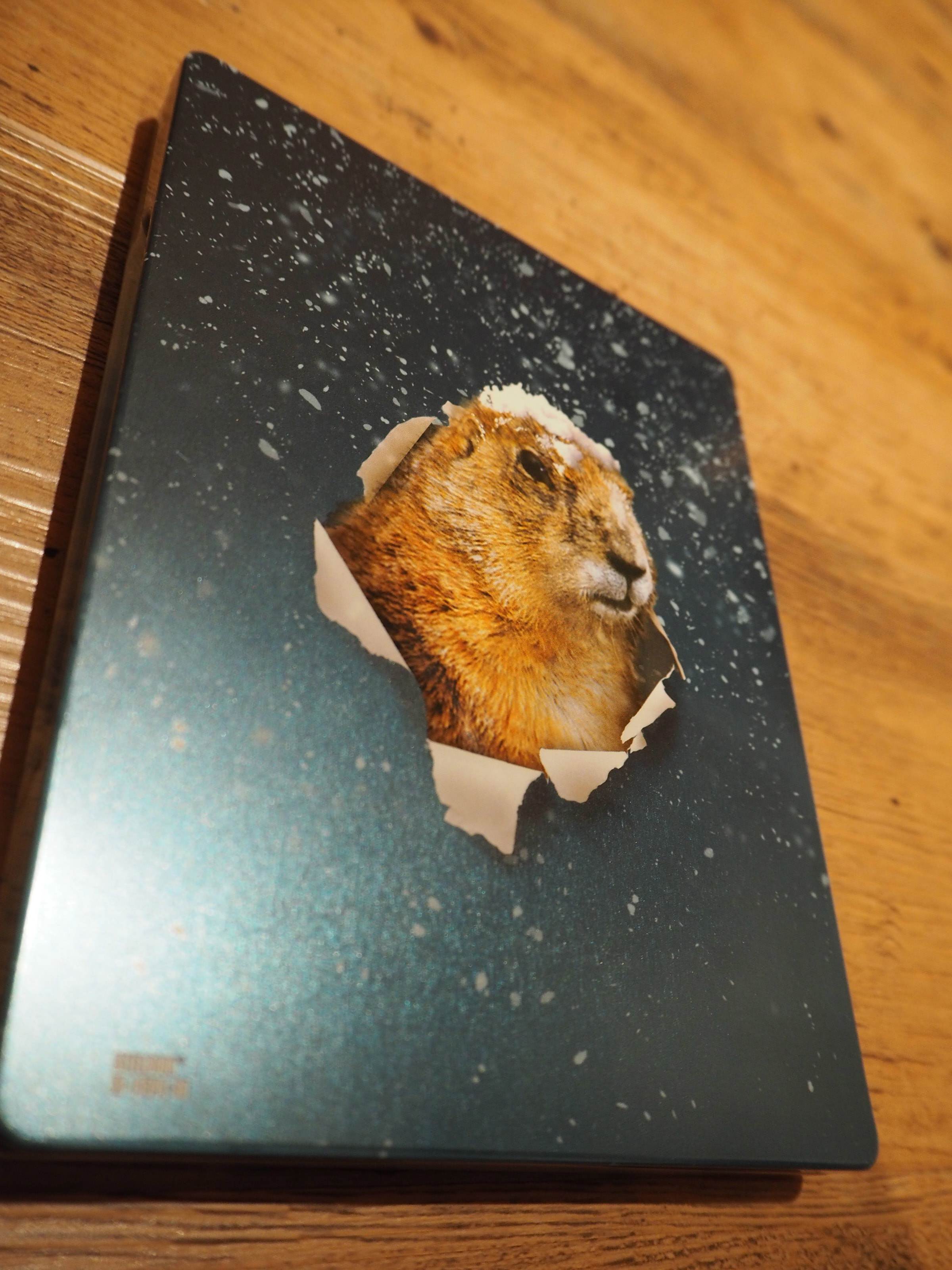 GroundhogDay_back2