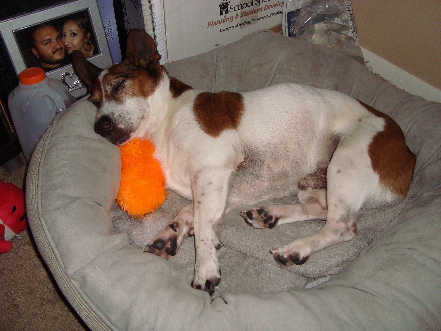 Halloween Pillow_5