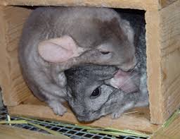 HUG