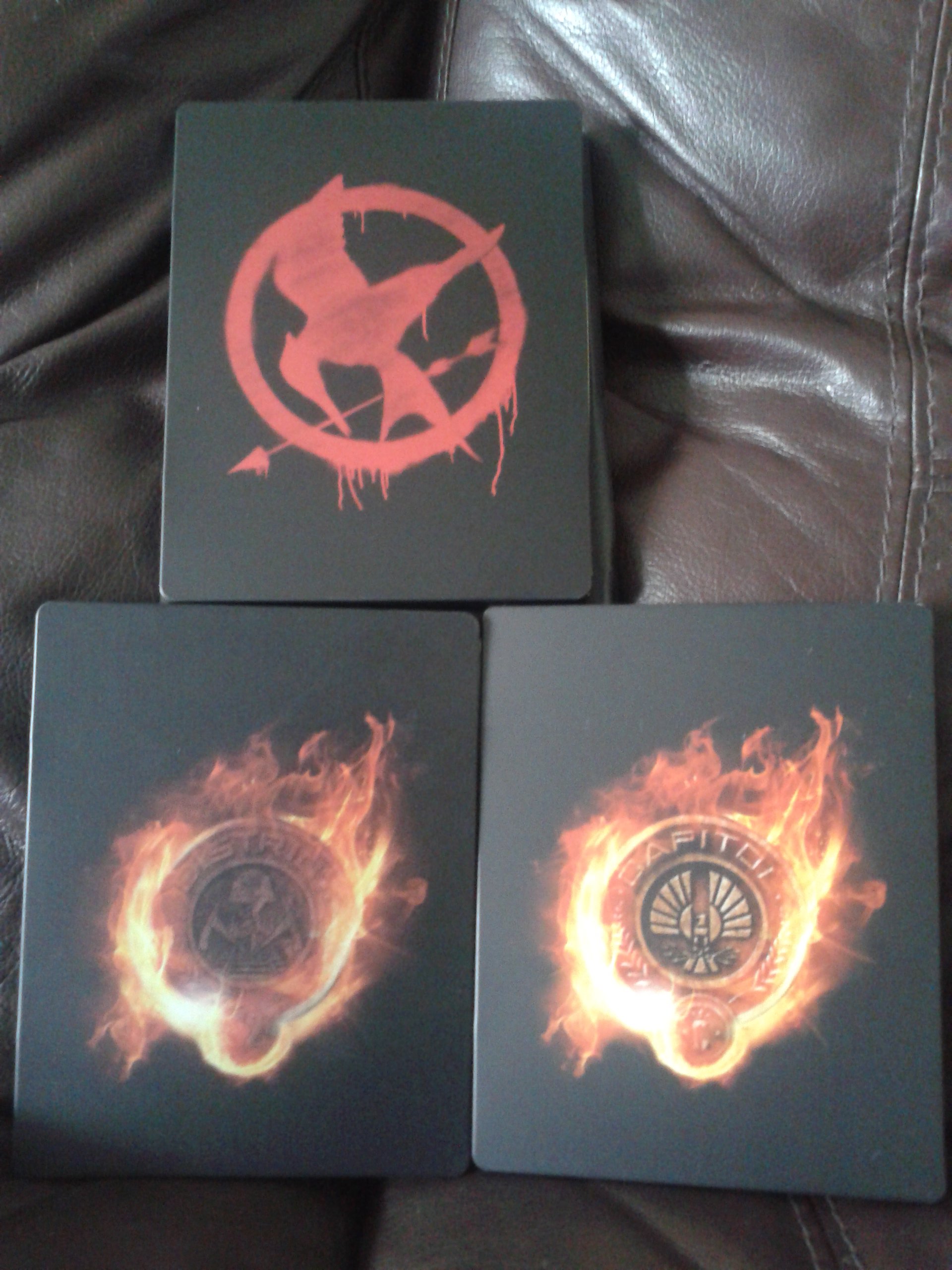 Hunger Games Back