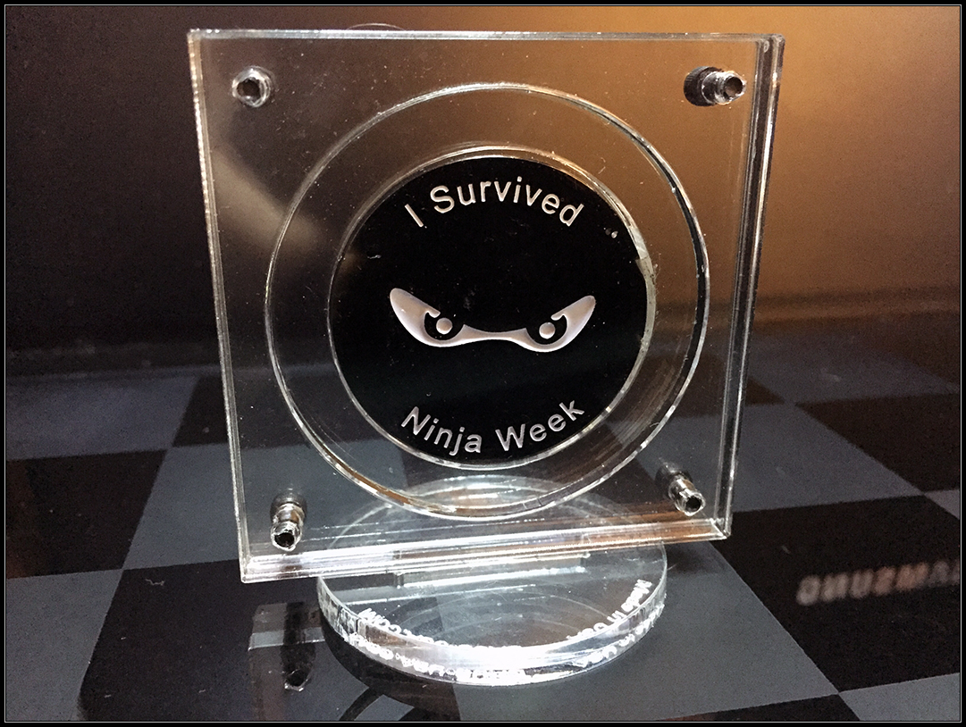 I Survived 2015 - front