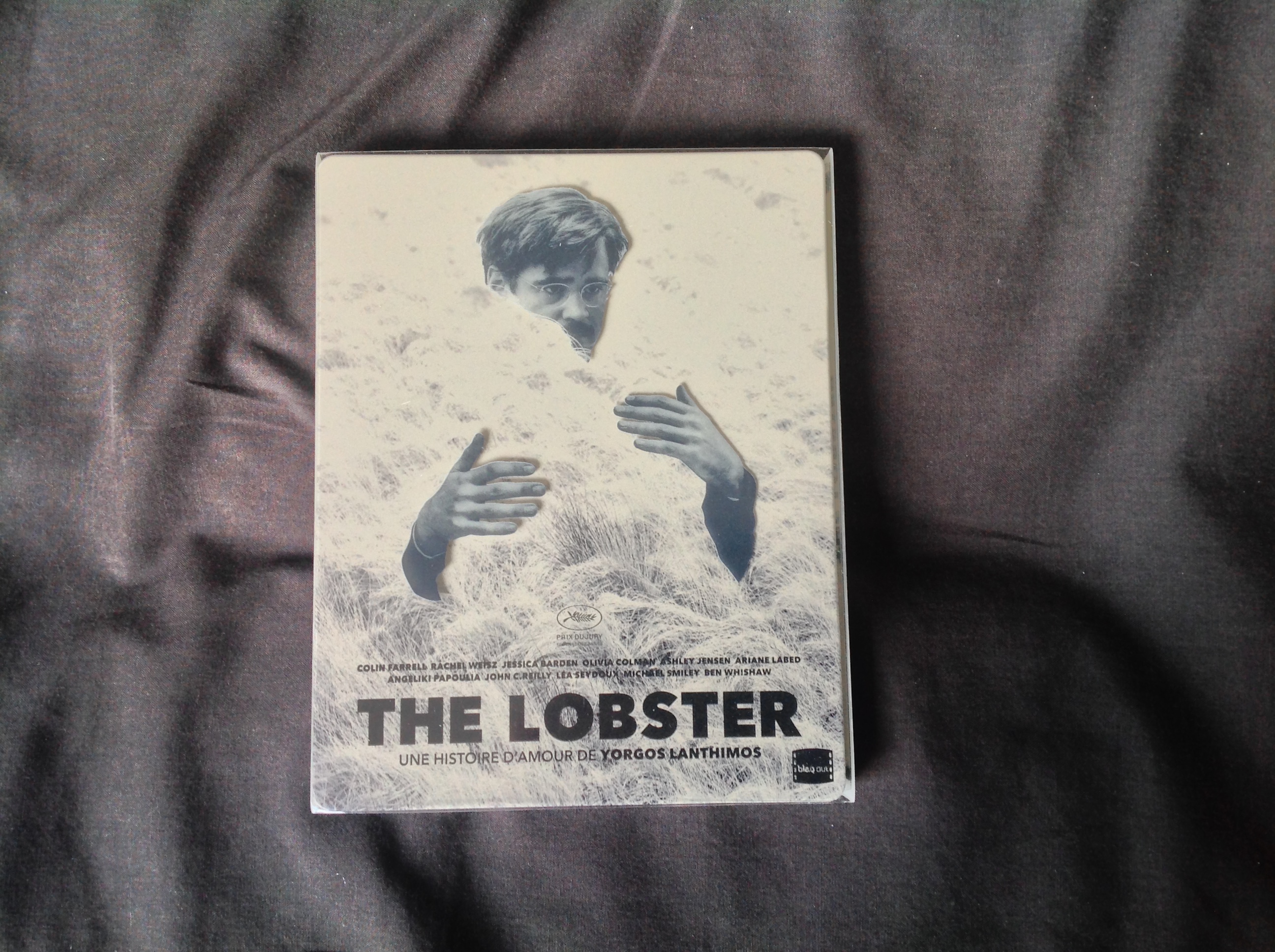 Lobster Colin