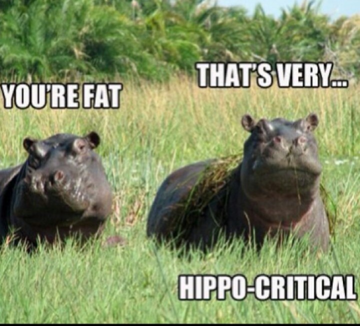 love this