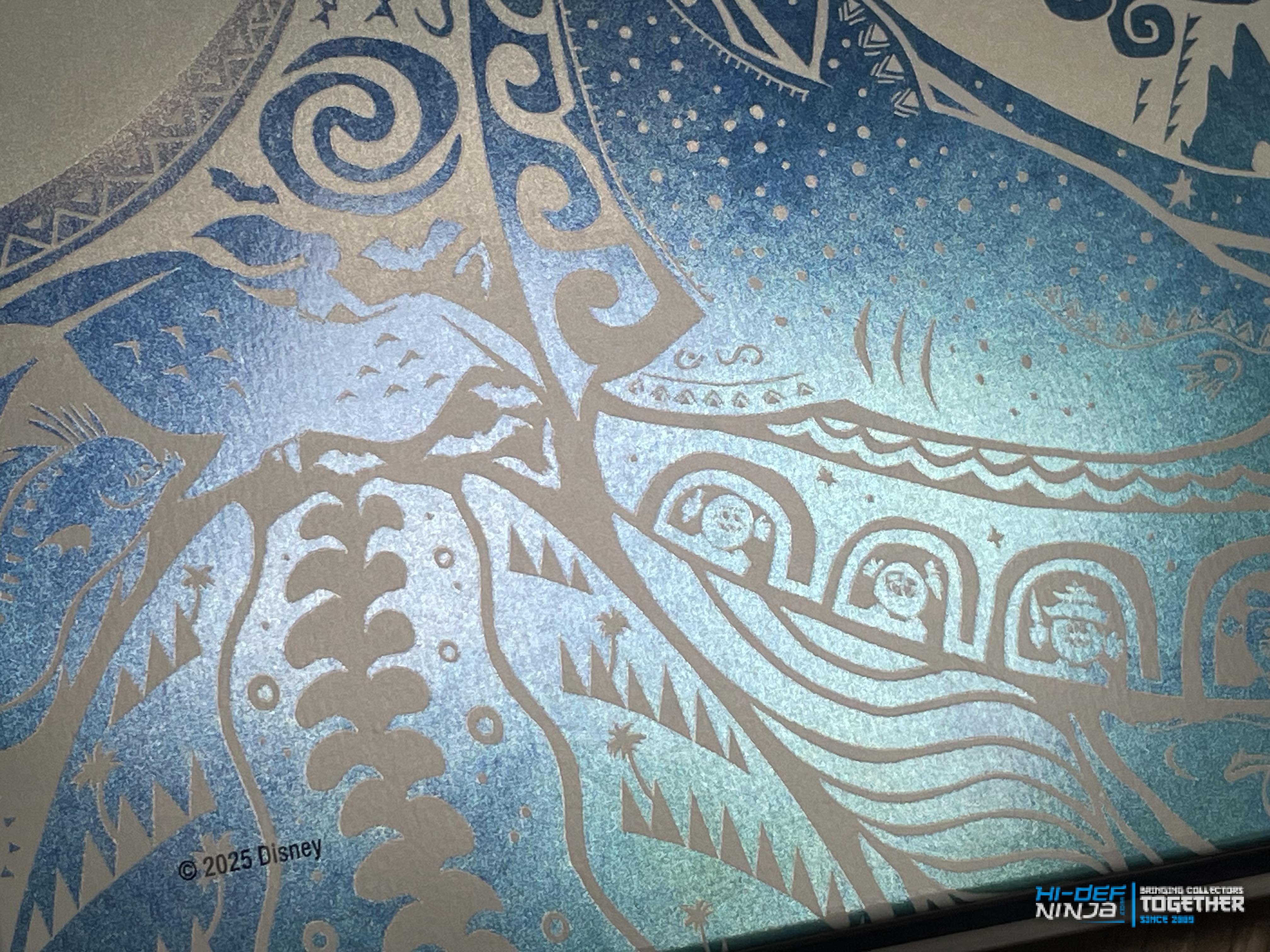 Moana 2_back_detail2.jpg