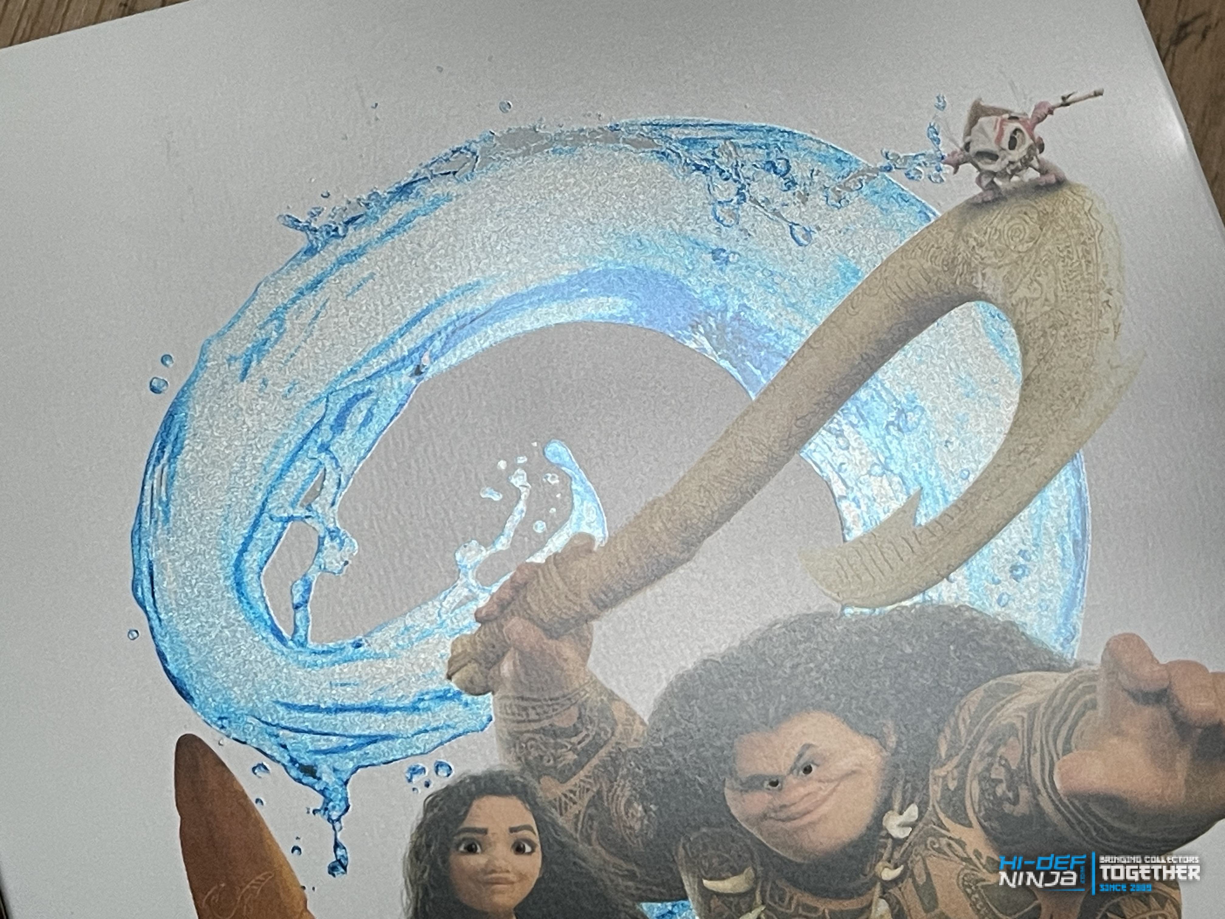 Moana 2_front_detail1.jpg