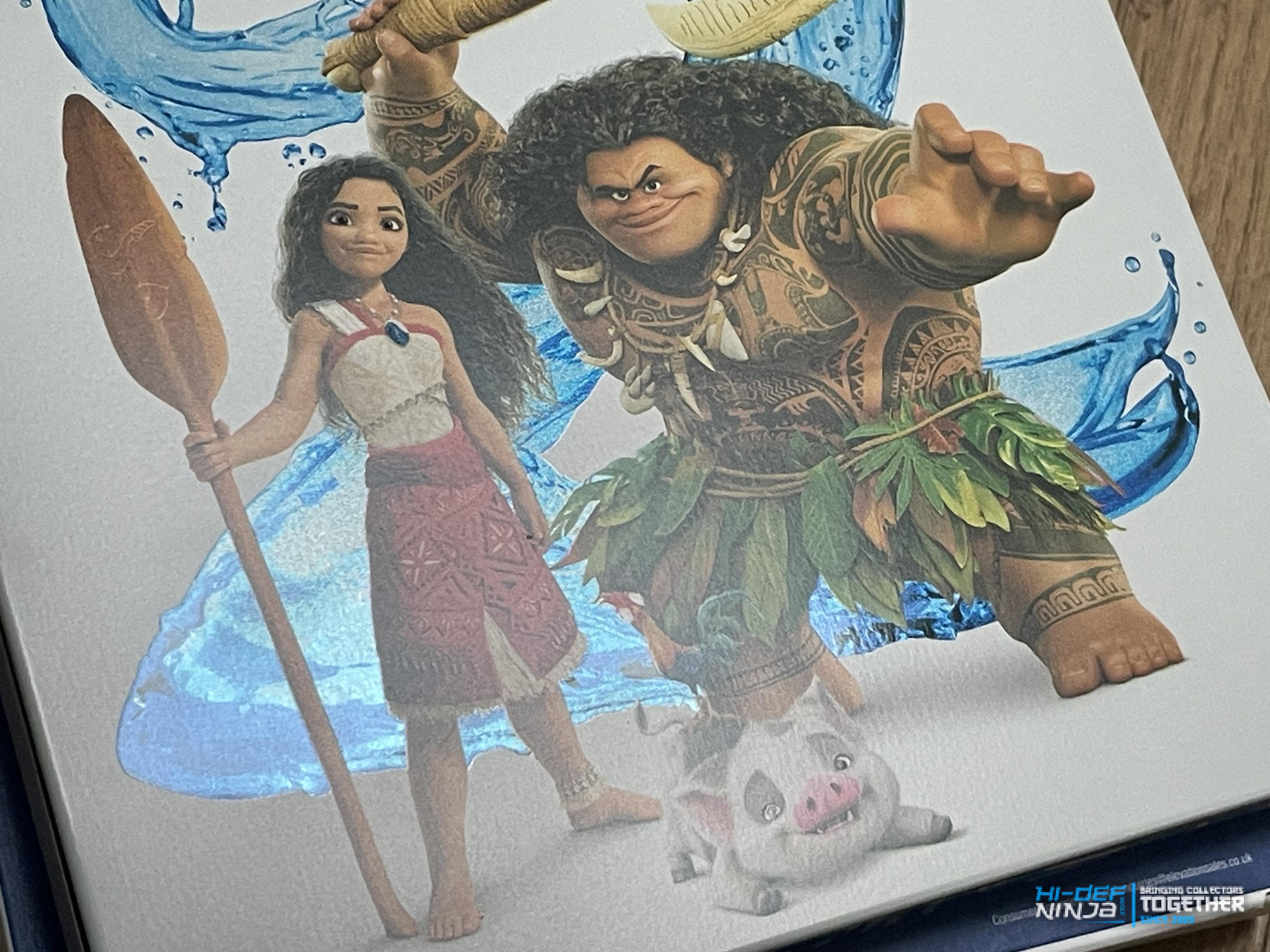 Moana 2_front_detail2.jpg