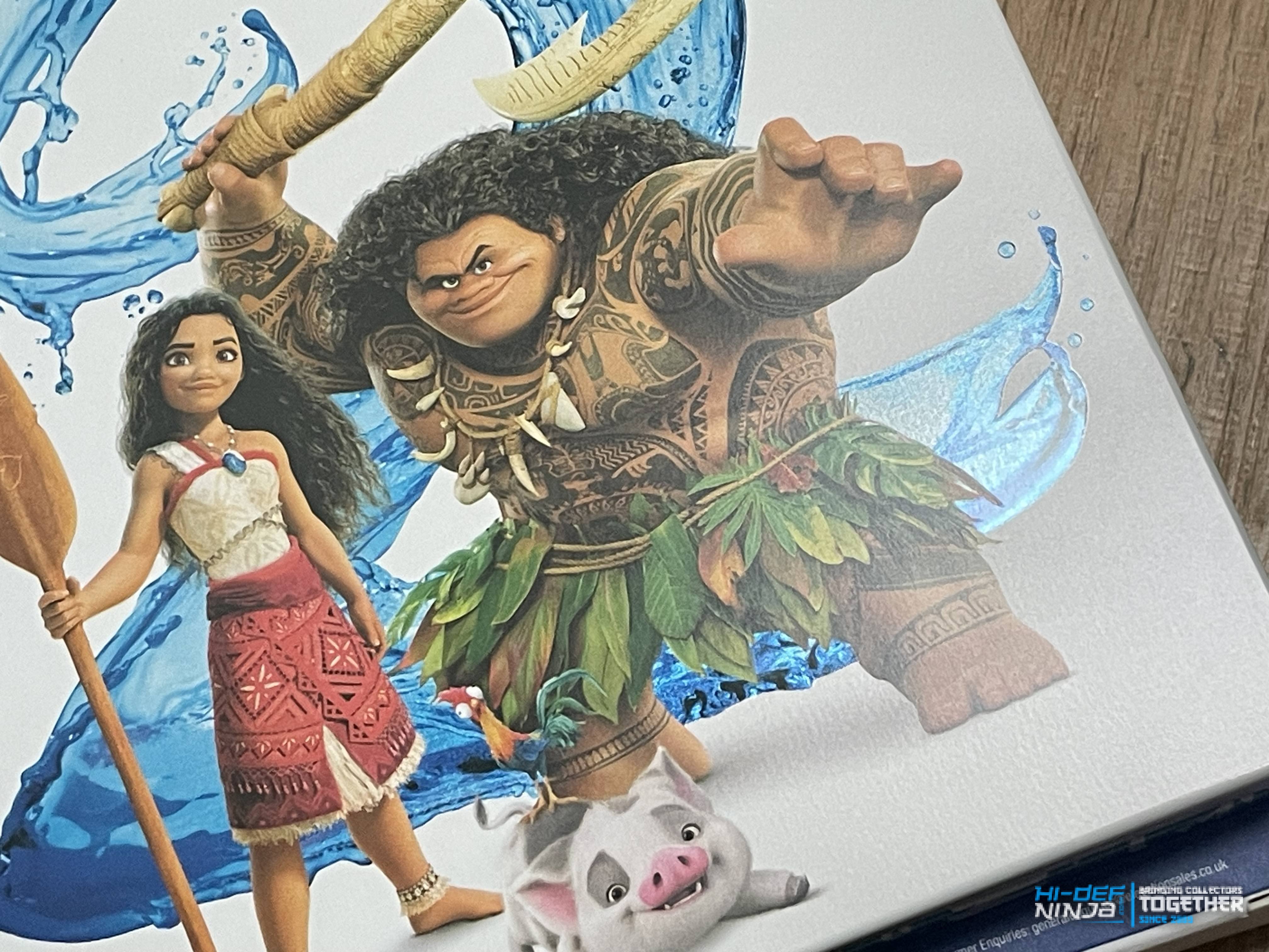 Moana 2_front_detail3.jpg