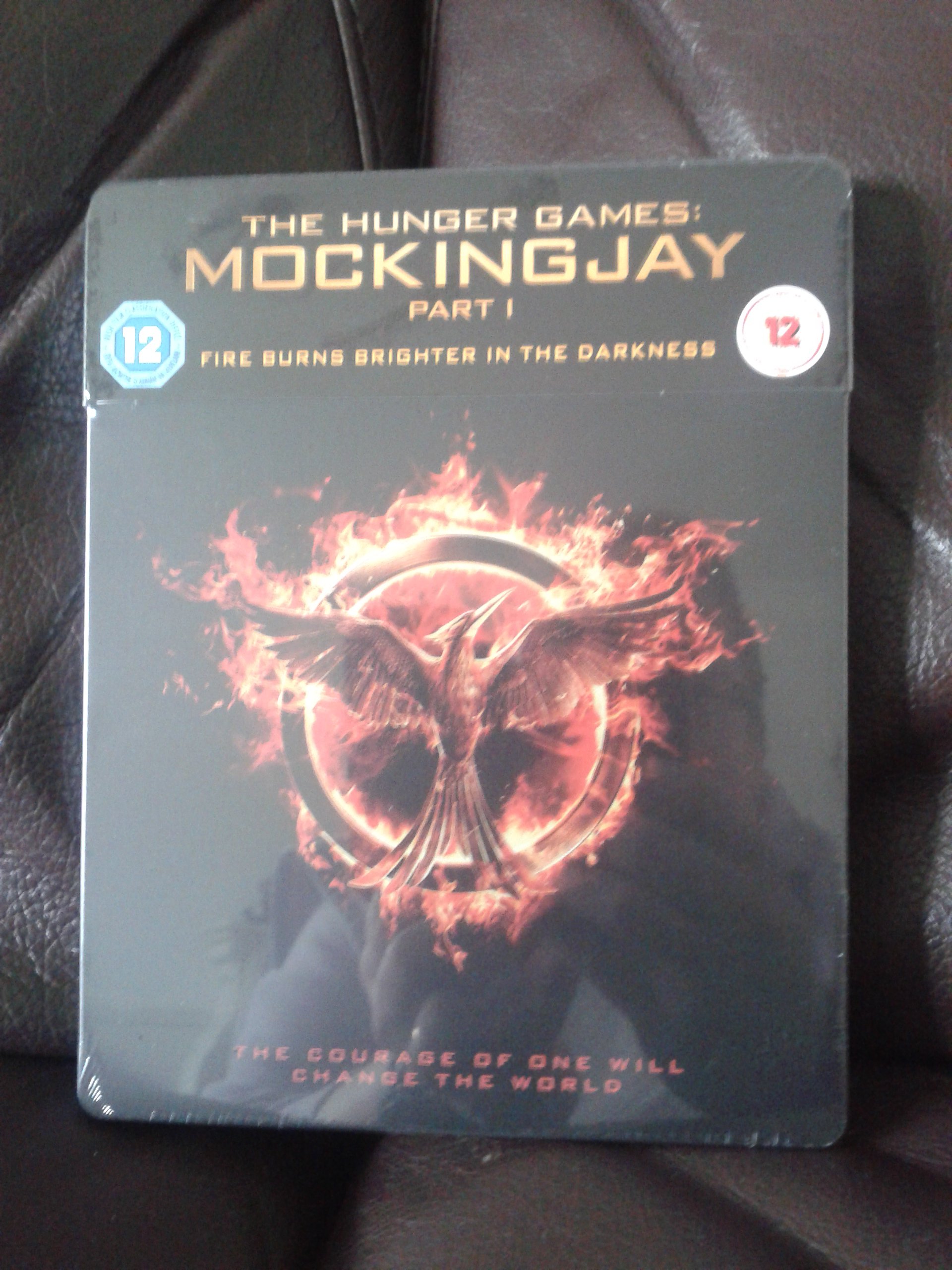 Mockingjay Frount