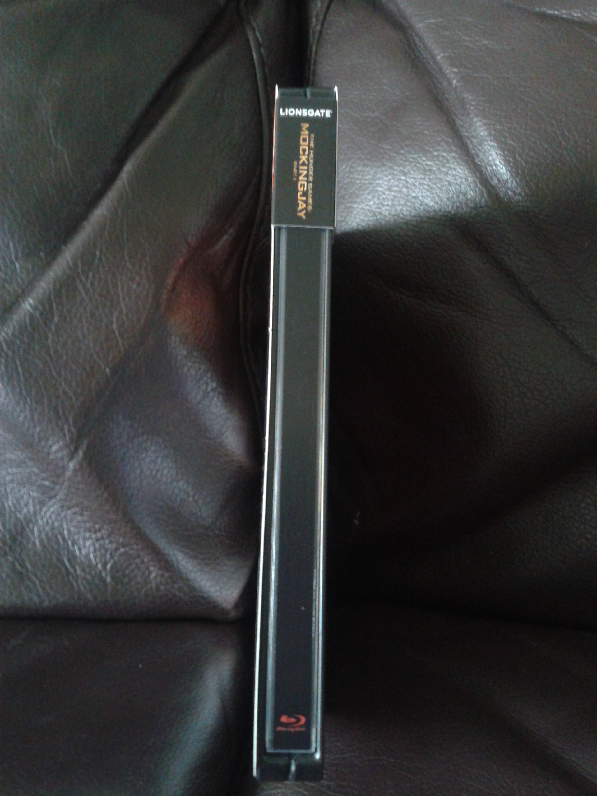 Mockingjay Spine