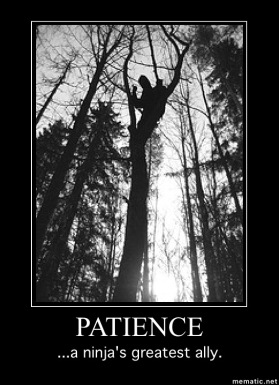 Patience