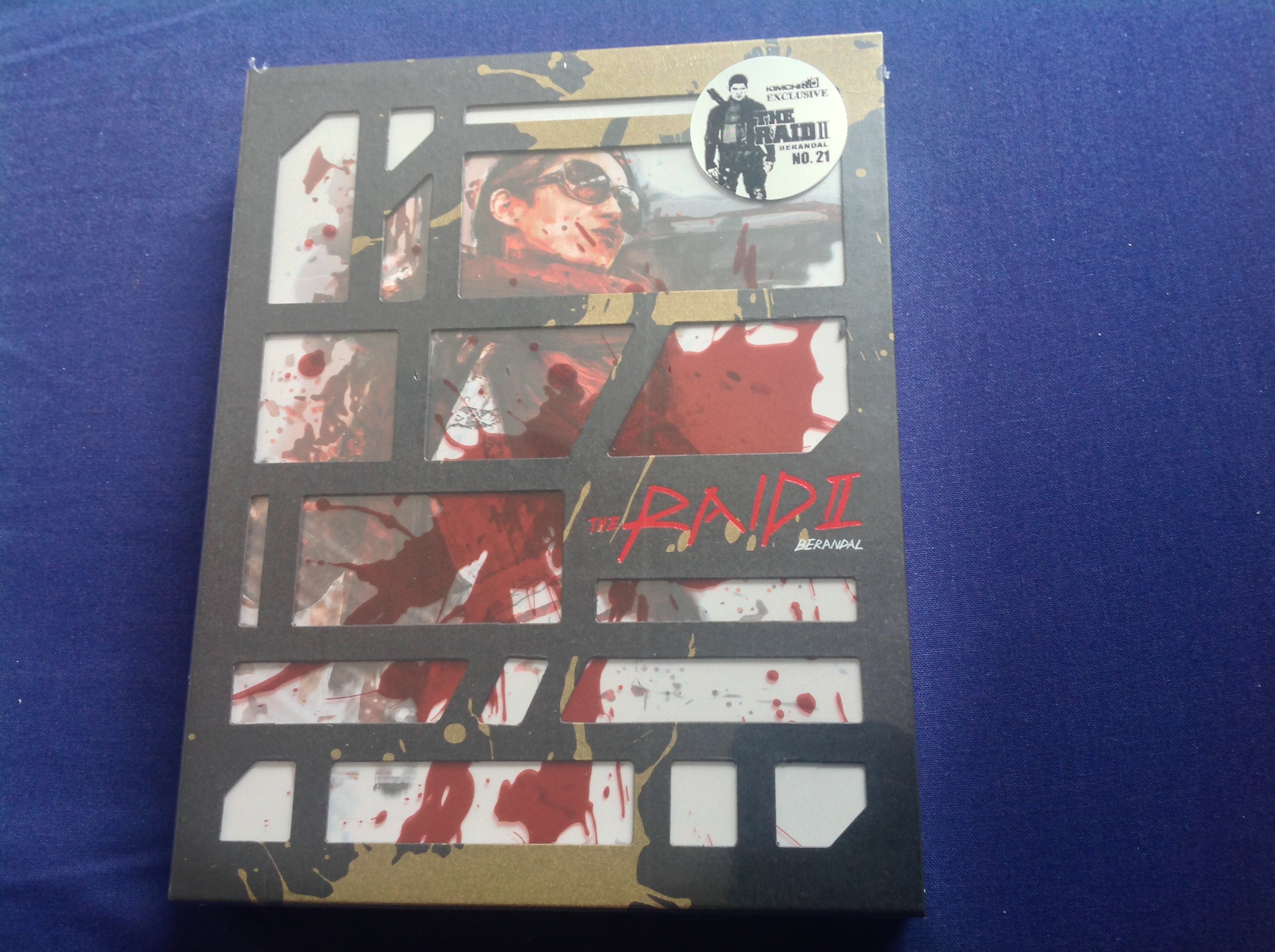 Raid 2+
