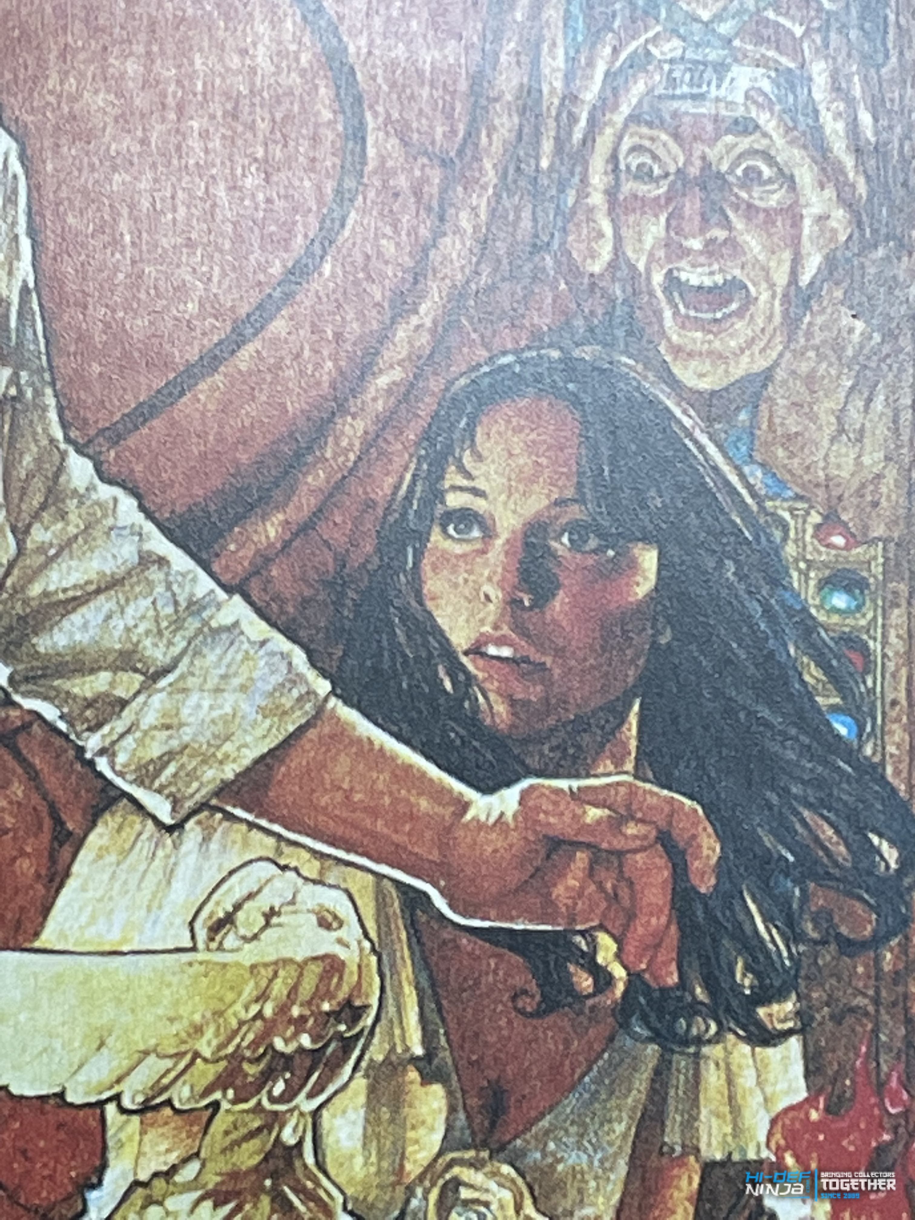 Raiders_zavvi4k_frontart_detail4.jpg