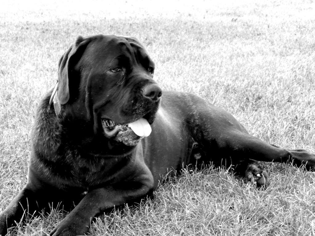 Severin (2 yrs old)