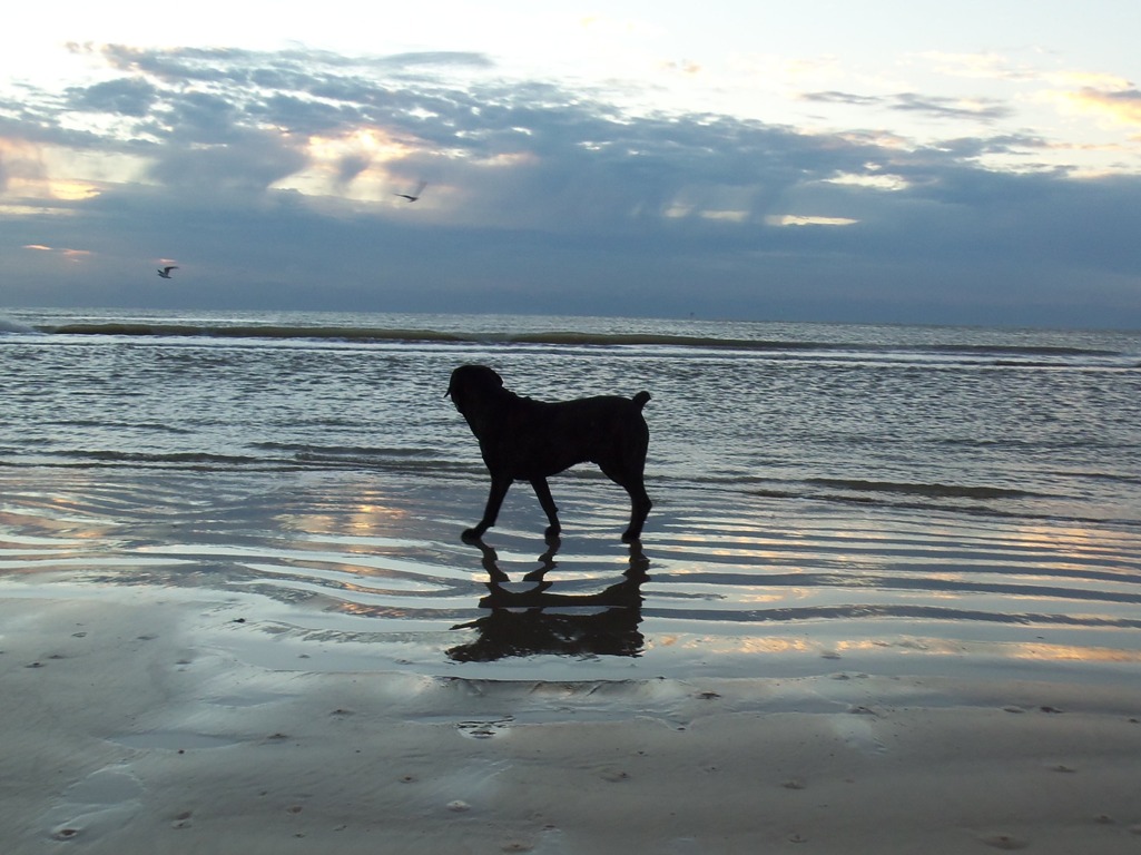 Severin at Beach (2 yrs old)