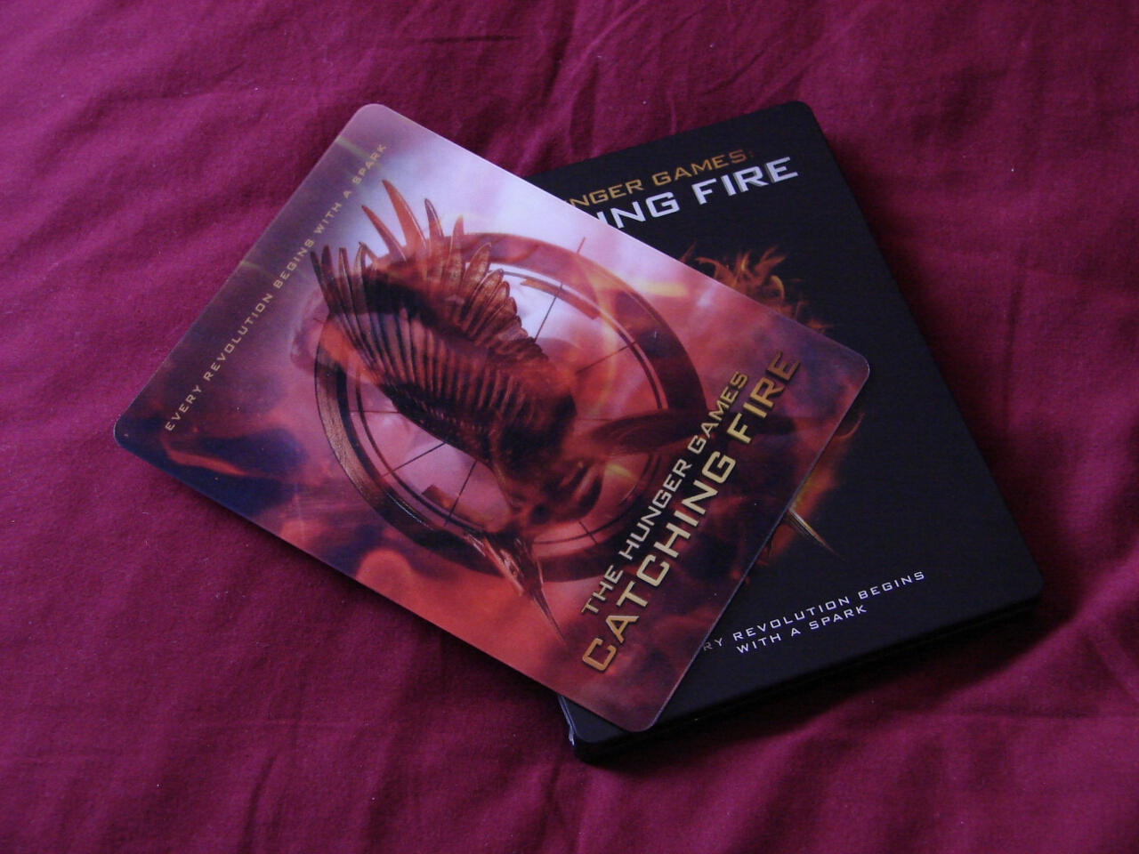 The Hunger Games Catching Fire v2  (Custom Printed)