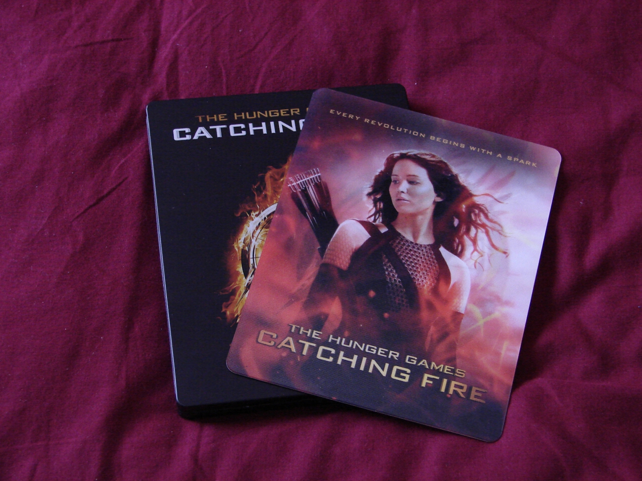 The Hunger Games Catching Fire v2  (Custom Printed)