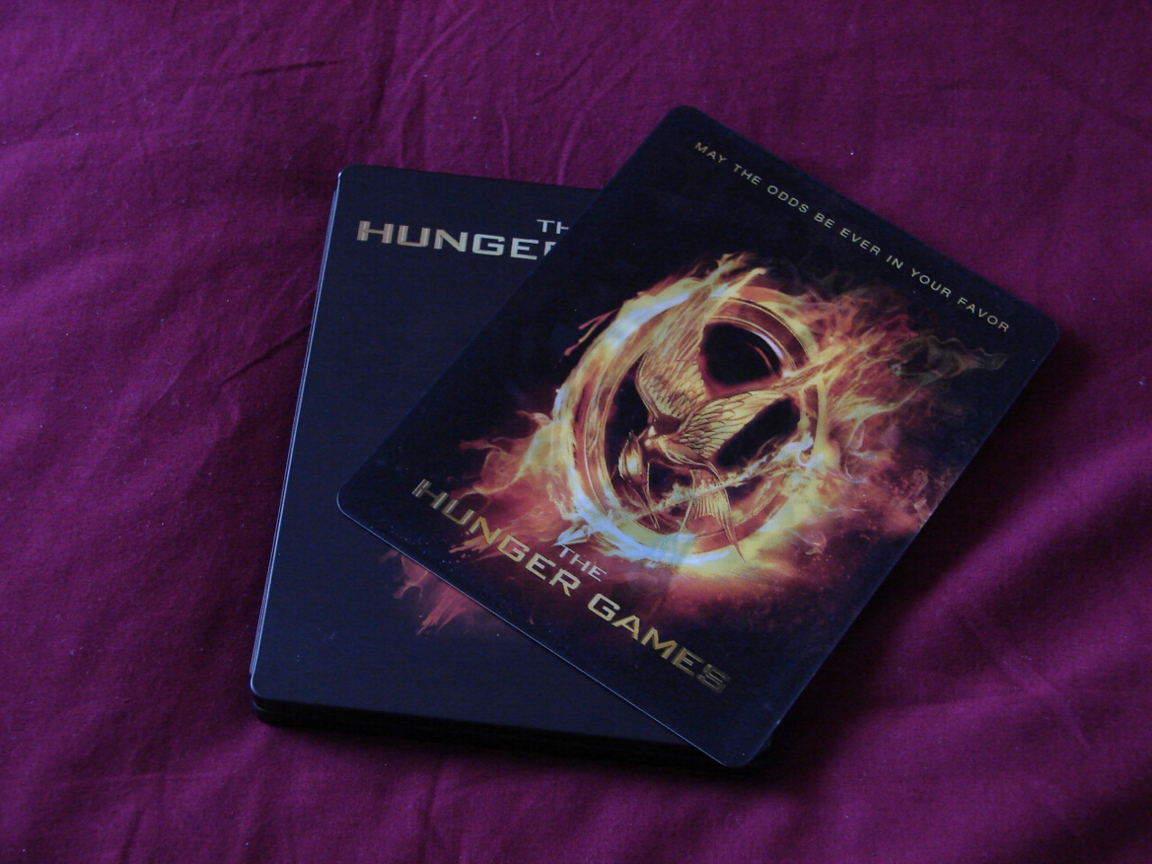 The Hunger Games  (Custom Printed)