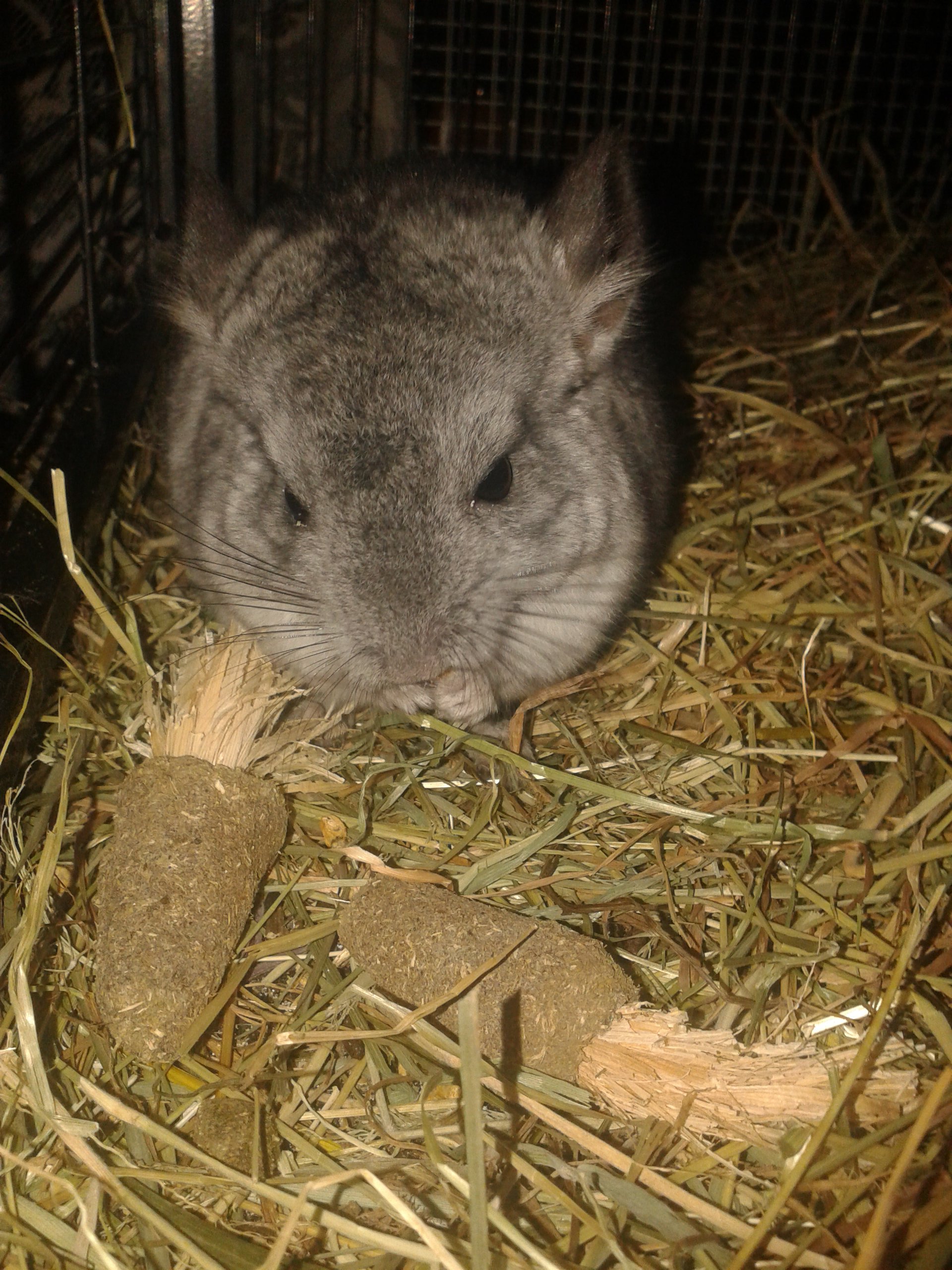 Tyrion 12 weeks so 25th Oct