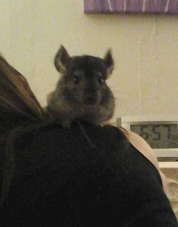 Tyrion now