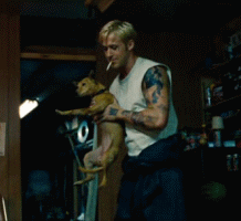 tumblr_mmazerIT6r1rlb6iho1_250.gif