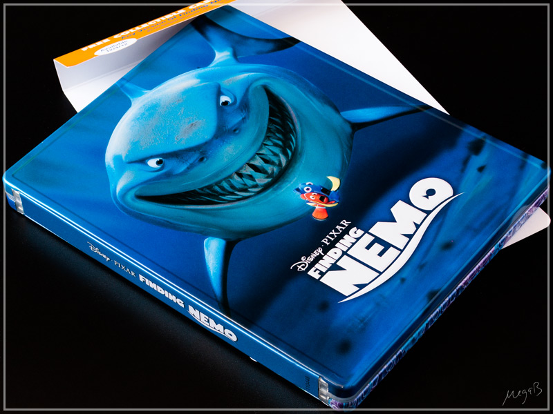 usnemo1.jpg