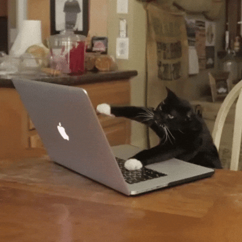 JIX9t2j0ZTN9S.gif