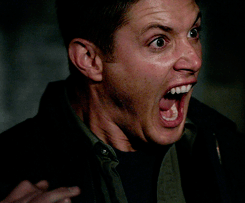 tumblr_ntcff47Ax21s5o1i2o1_250.gif