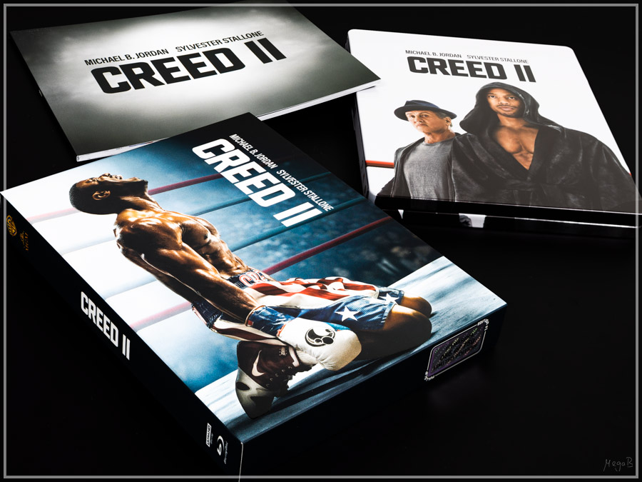 creed2-3.jpg