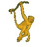 Light-brown-animated-moving-monkey-swinging-on-tail.gif