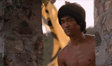 tumblr_mtl622XXJd1rbalzco1_400.gif