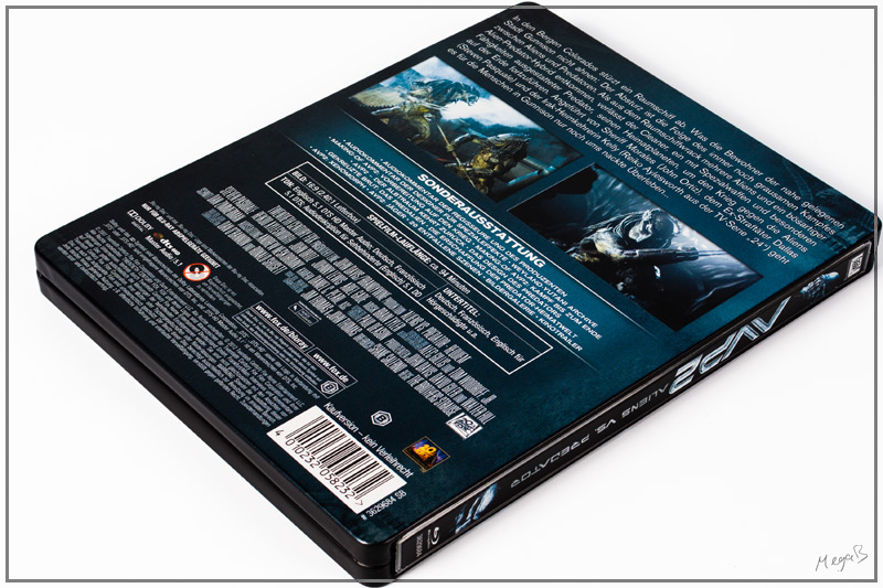 avp2-2.jpg
