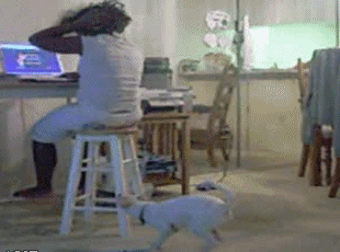 get-off.gif