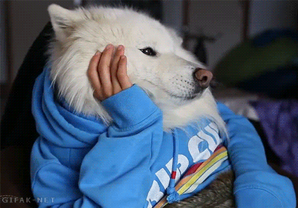 OJE1vnBGMAkyk.gif