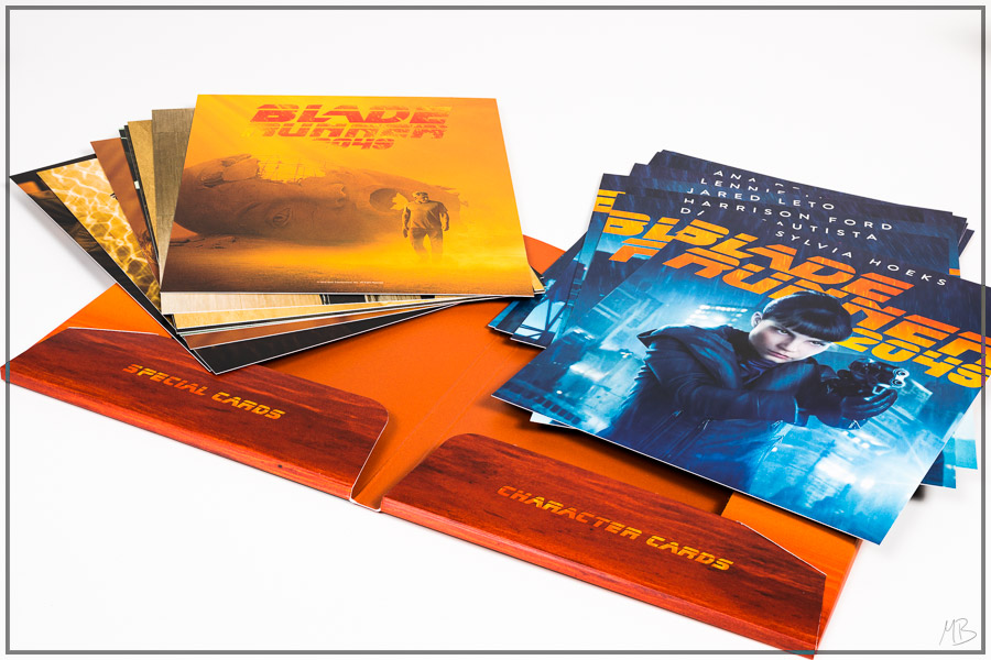 br2049maniacos32.jpg